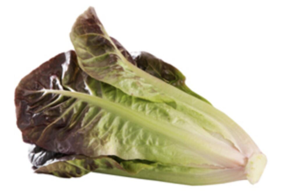 Red Romaine