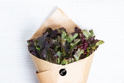 [PC, Lettuce, Oakleaf, Red, 125g] Red Oakleaf