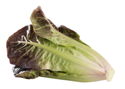 [PC, Lettuce, Romaine, Red, 125g] خس روماني أحمر