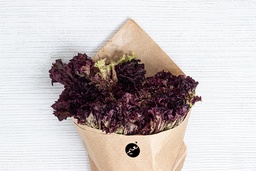 [PC, Lettuce, Lollo Rosso, 125g] خس لولو روسو